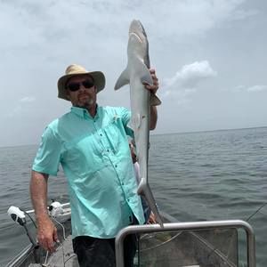 Meet your Posher, Joe